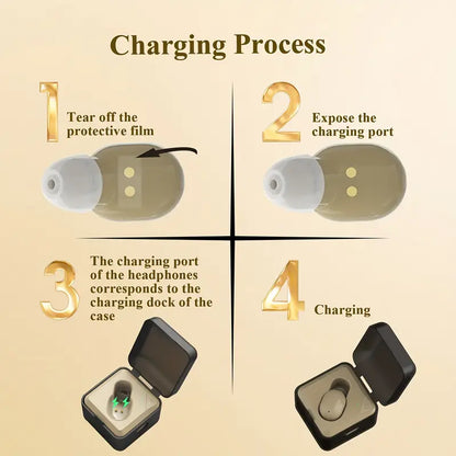Hearing Aid Invisible